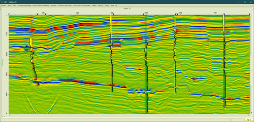 Reservoir Characterization Results Exported to Engineering Grid