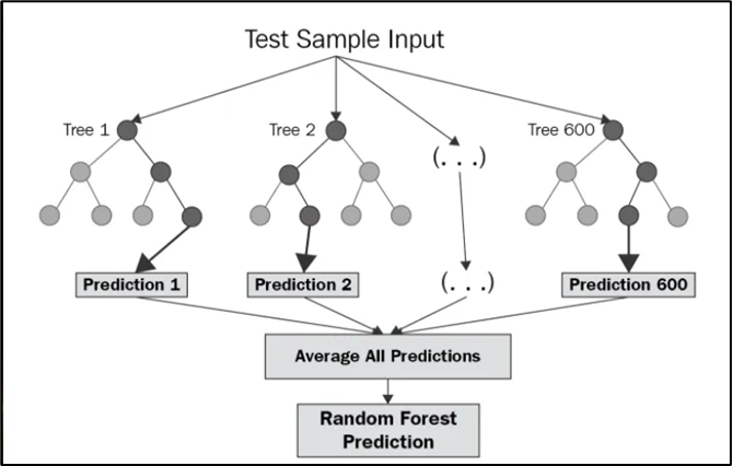 Random Forest Structure Machine Learning
